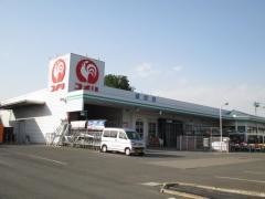 コメリハード＆グリーン　埼玉花園店