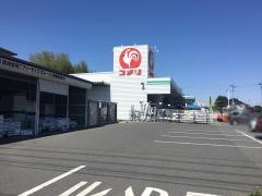 コメリハード＆グリーン　埼玉花園店