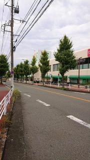 イトーヨーカドー　桂台店