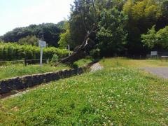 千秀公園
