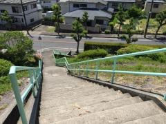 中央公園