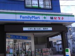 薬ヒグチ岩田南店