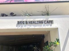 ＤＯＧ＆ＨＥＡＬＩＮＧＣＡＦＥグリシィヌ