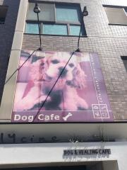 ＤＯＧ＆ＨＥＡＬＩＮＧＣＡＦＥグリシィヌ