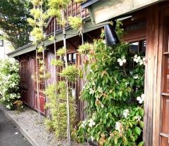 虹橋食堂　大乃木坂店