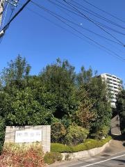 陶原歯科