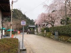 「大野寺前」バス停留所