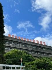 嬉野の園