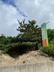 嬉野の園