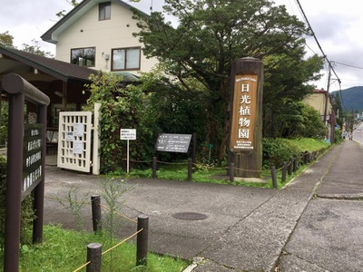 旅探 たびたん 日光植物園 日光市花石町