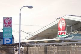 コメリハード＆グリーン　境店