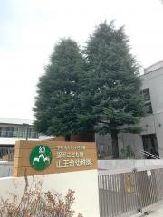 山王台幼稚園