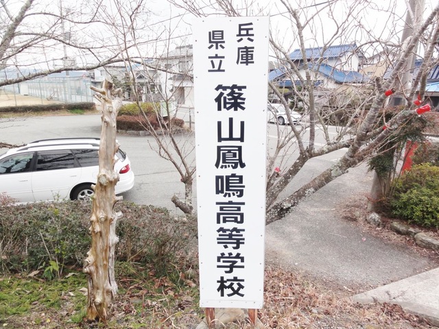 投稿写真1