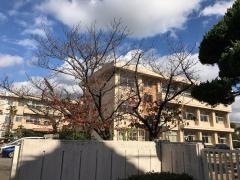 伊島小学校