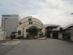宮崎内科