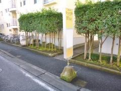 「グリーンハイツＣ３前」バス停留所