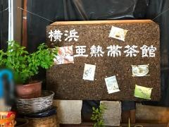 横浜亜熱帯茶館　爬虫類カフェ