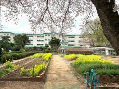 湖北小学校
