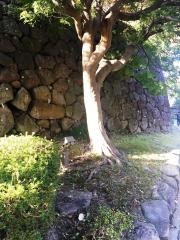 外濠公園（沈床園）