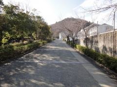 けやき坂小学校