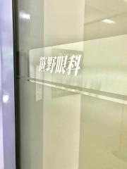 笹野眼科