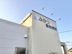 ふかつ動物病院