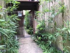 紀の川