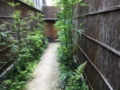 紀の川