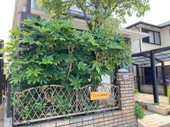 しらさか推拿整体