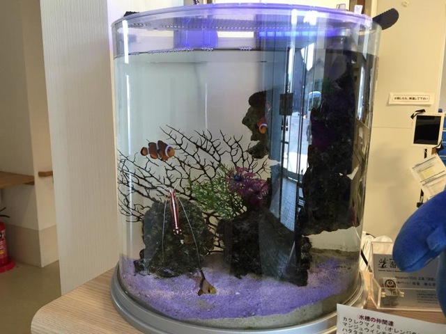 アルファリビング福山多治米 動物・魚（ペット）