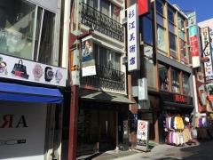 株式会社杉江美術店