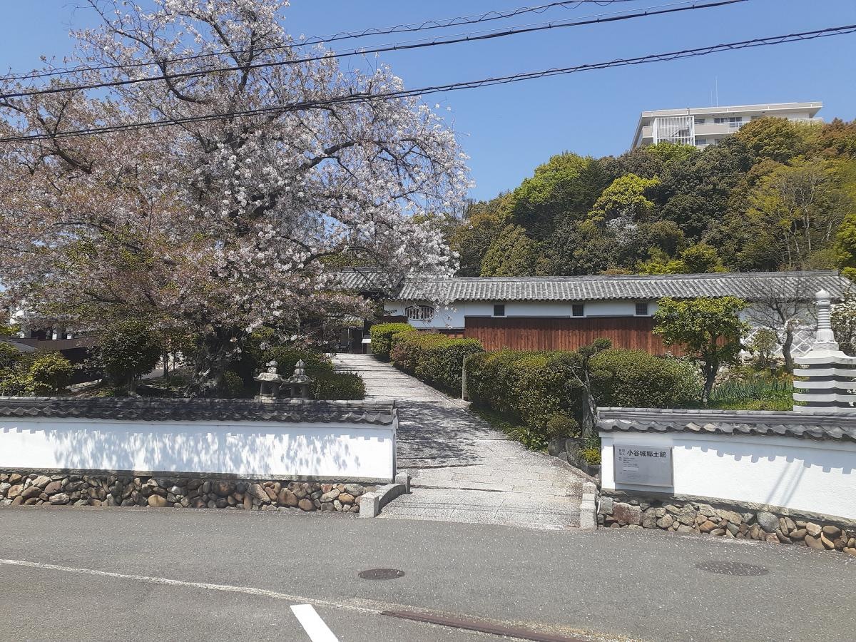 通りから