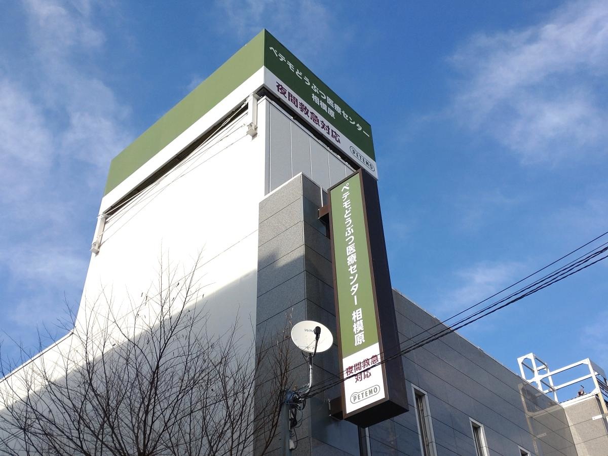 動物病院