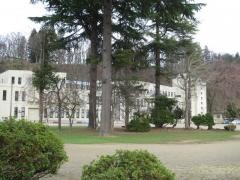 横手南小学校