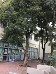 本村小学校