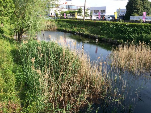 施設写真4