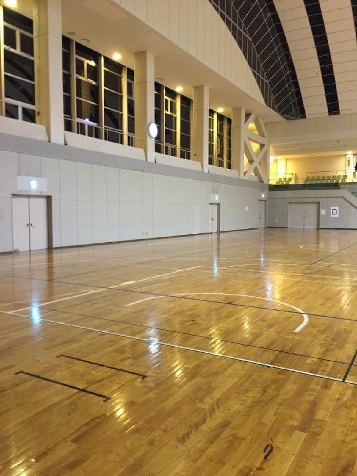 公の場での発言・インタビュー報道記録