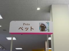 ザ・ダイソー　山陽マルナカ中島店