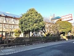 菊池グランドホテル