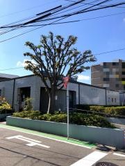 横山内科医院