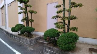宮城整形外科医院