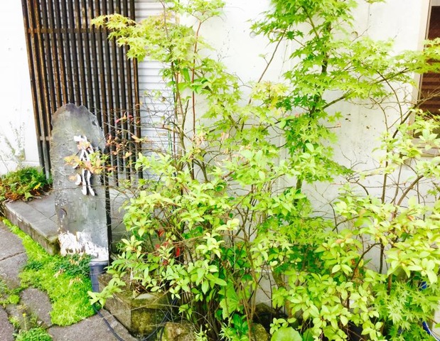 雰囲気 画像8