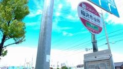 「稲沢市役所前」バス停留所