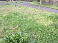 片倉自然公園