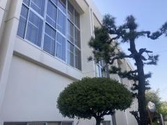 大城小学校