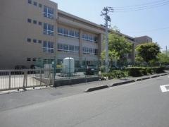 楠小学校