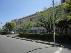 楠小学校