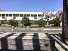 長洲幼稚園