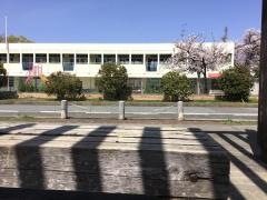 長洲幼稚園