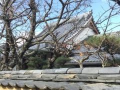 仙光寺